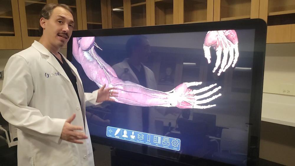 3D Visualization of an arm.